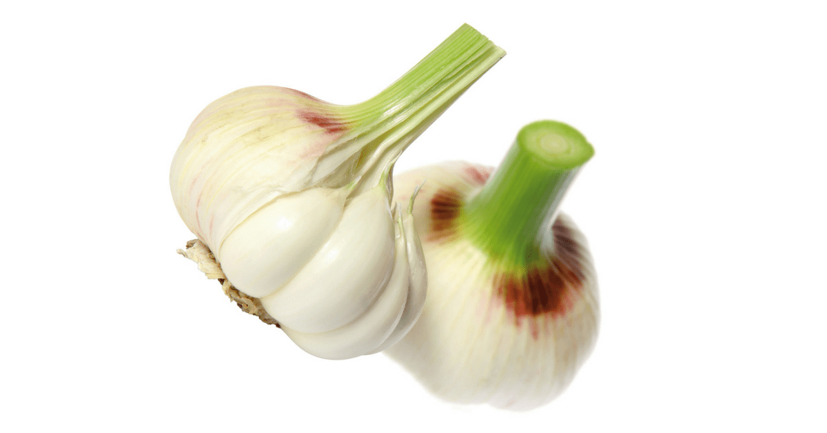 Česen