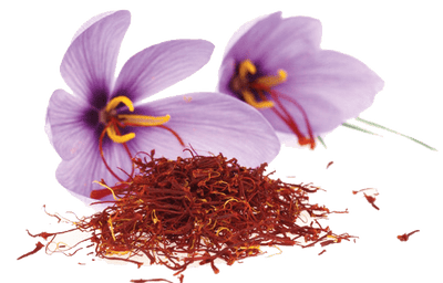 Žafran – Crocus sativus, zdravilna rastlina