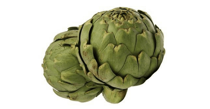 Artičoka - Cynara scolymus L.