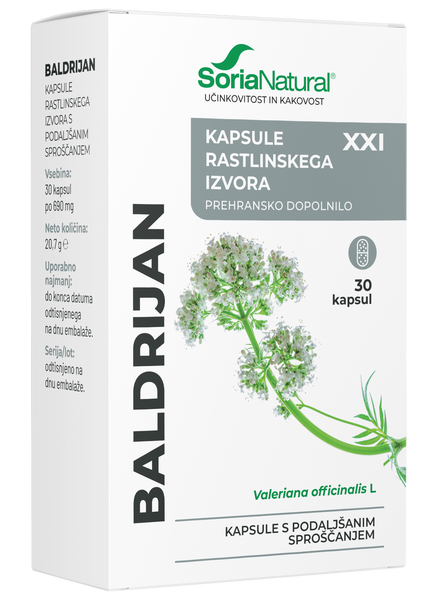 Kapsule XXI